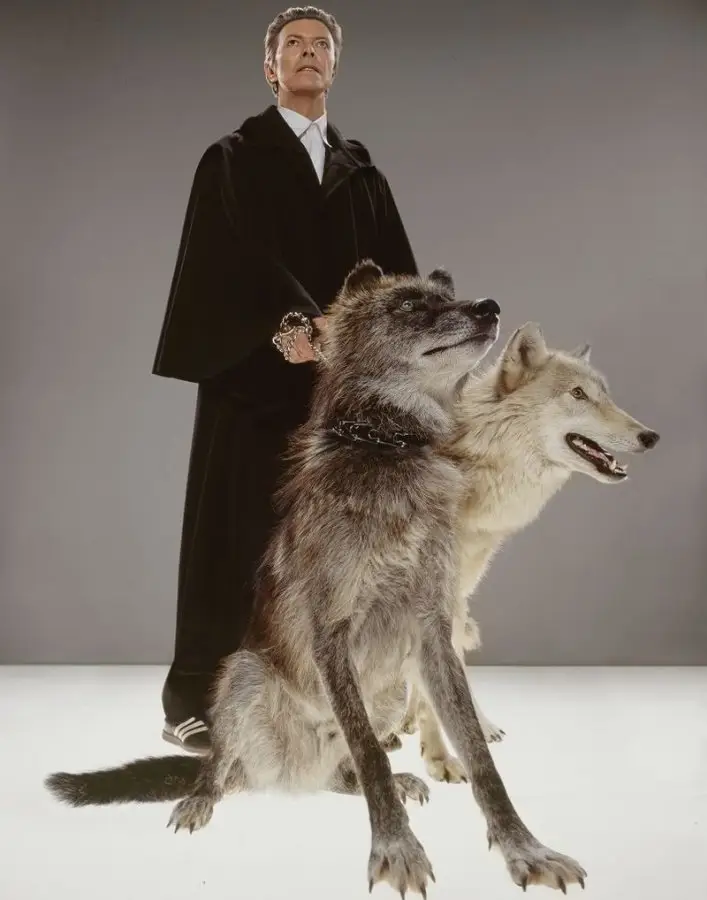 A photographic legacy of David Bowie by Markus Klinko