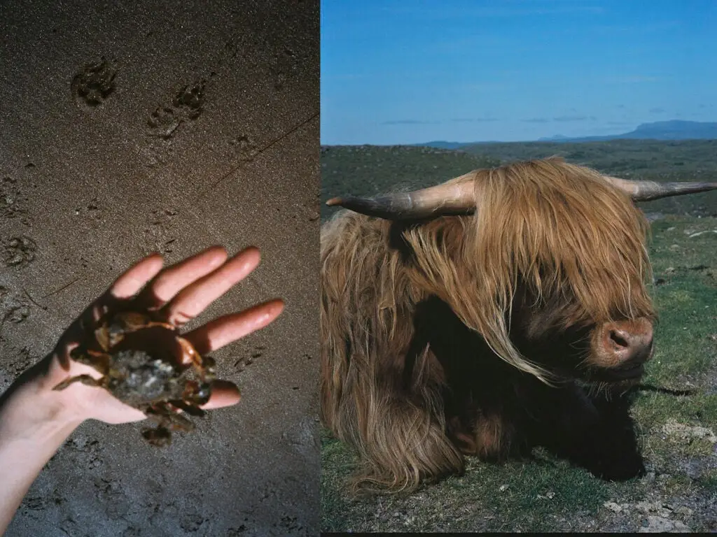 Scotland through the lens of Rid Burman