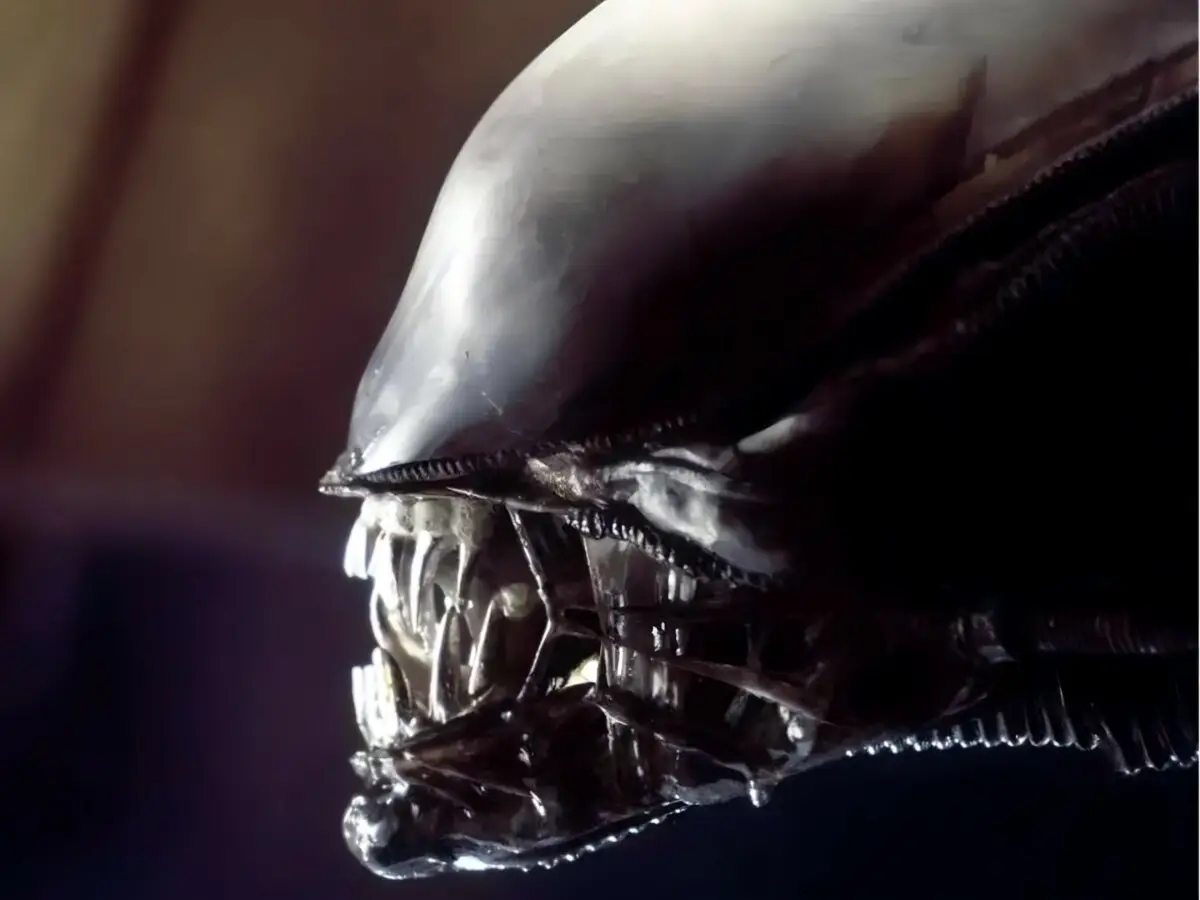 Xenomorph - Alien - Far Out Magazine