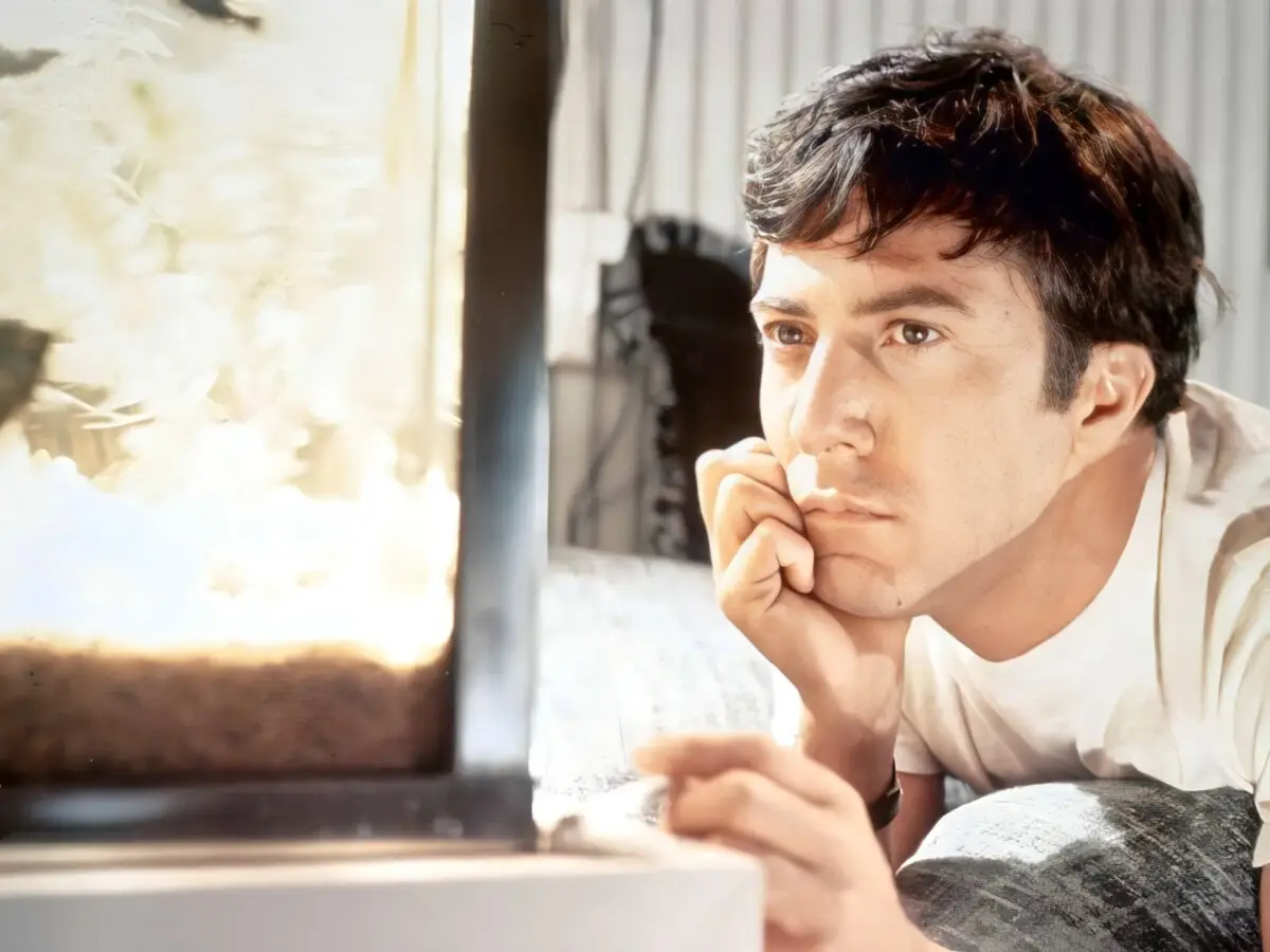 Dustin Hoffman - The Graduate - Far Out Magazine (1)