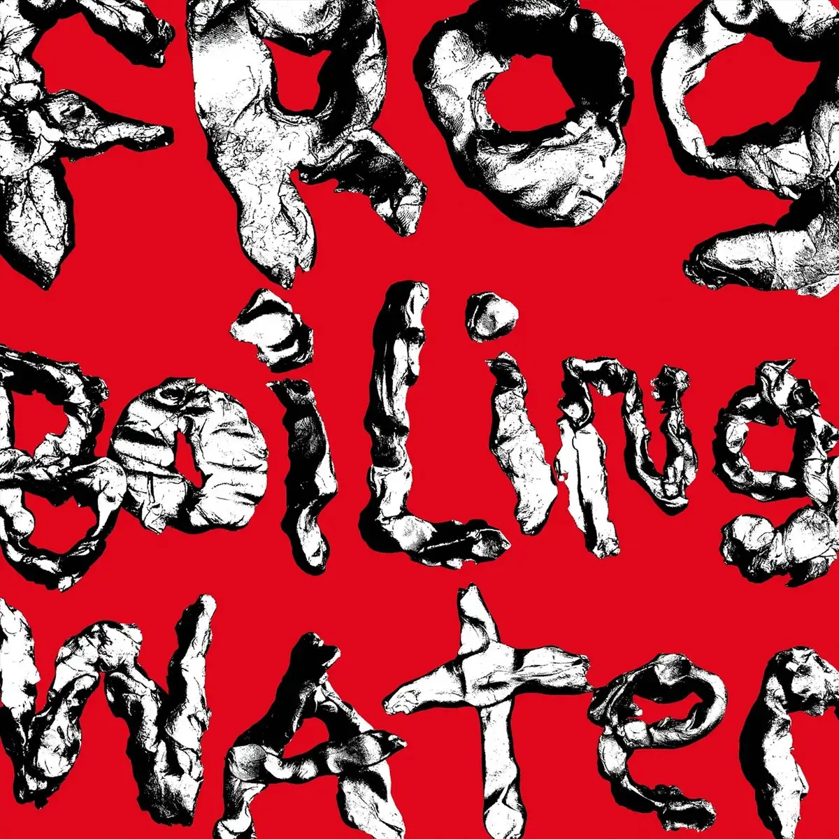 DIIV - Frog In Boiling Water - 2024