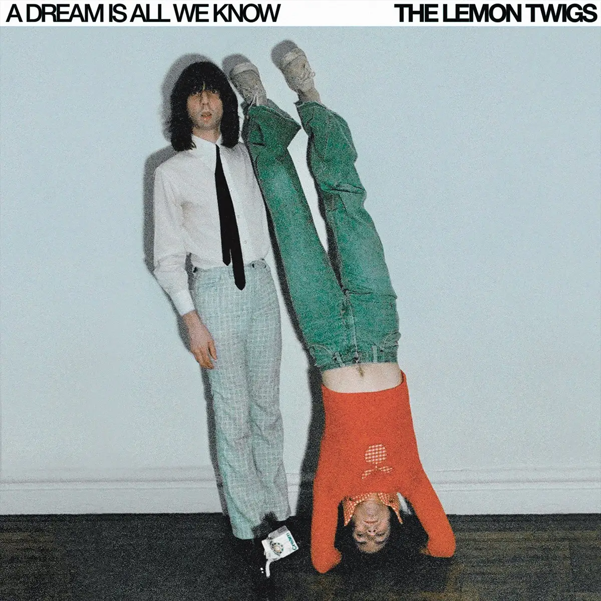 The Lemon Twigs - A Dream Is All We Know - 2024