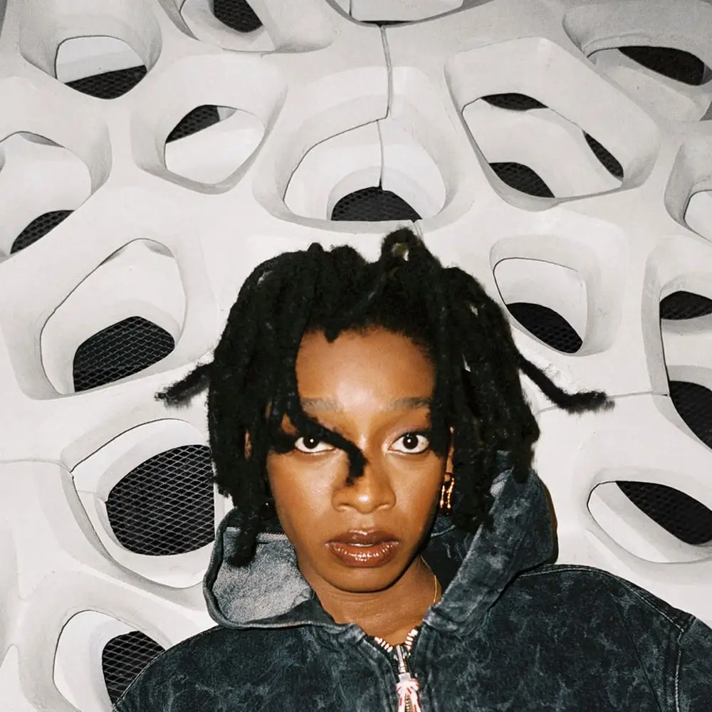 Little Simz - No Thank You - 2022