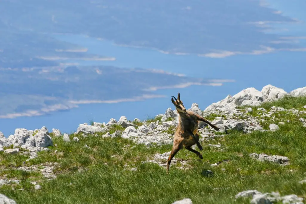 A trip into the Biokovo mountains