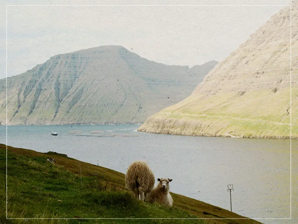 Quantum listening in the Faroe Islands- An unparalleled sonic experience