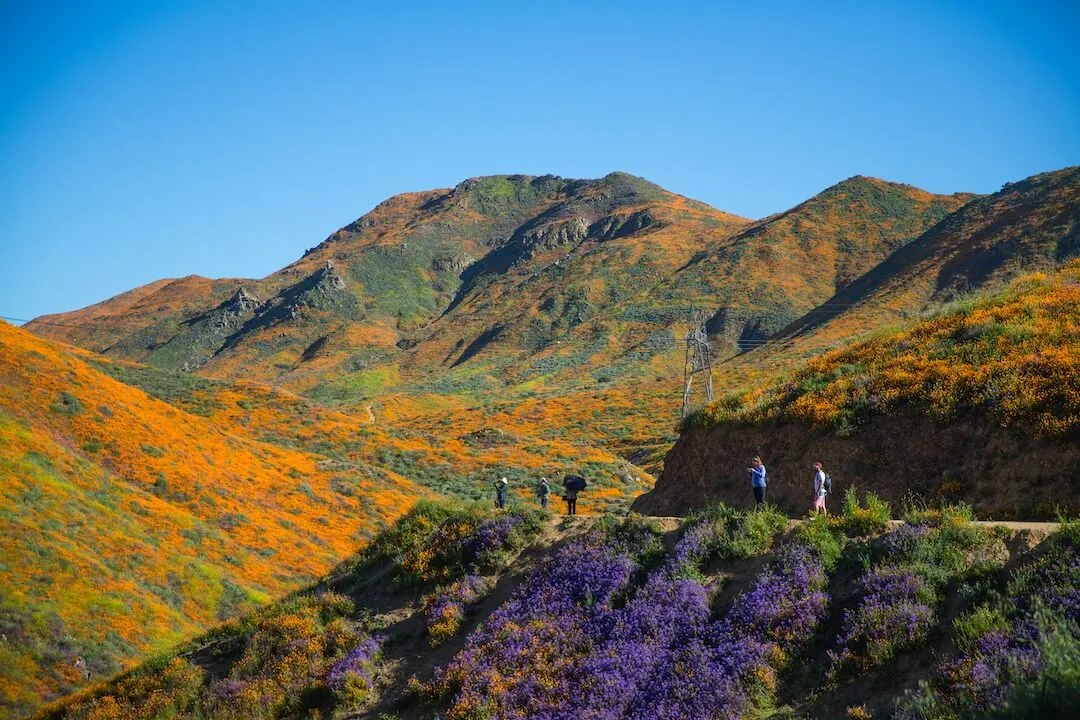 Por que a ascensão das redes sociais nos proporcionou um mundo menos feliz, mais polarizado e perigoso
