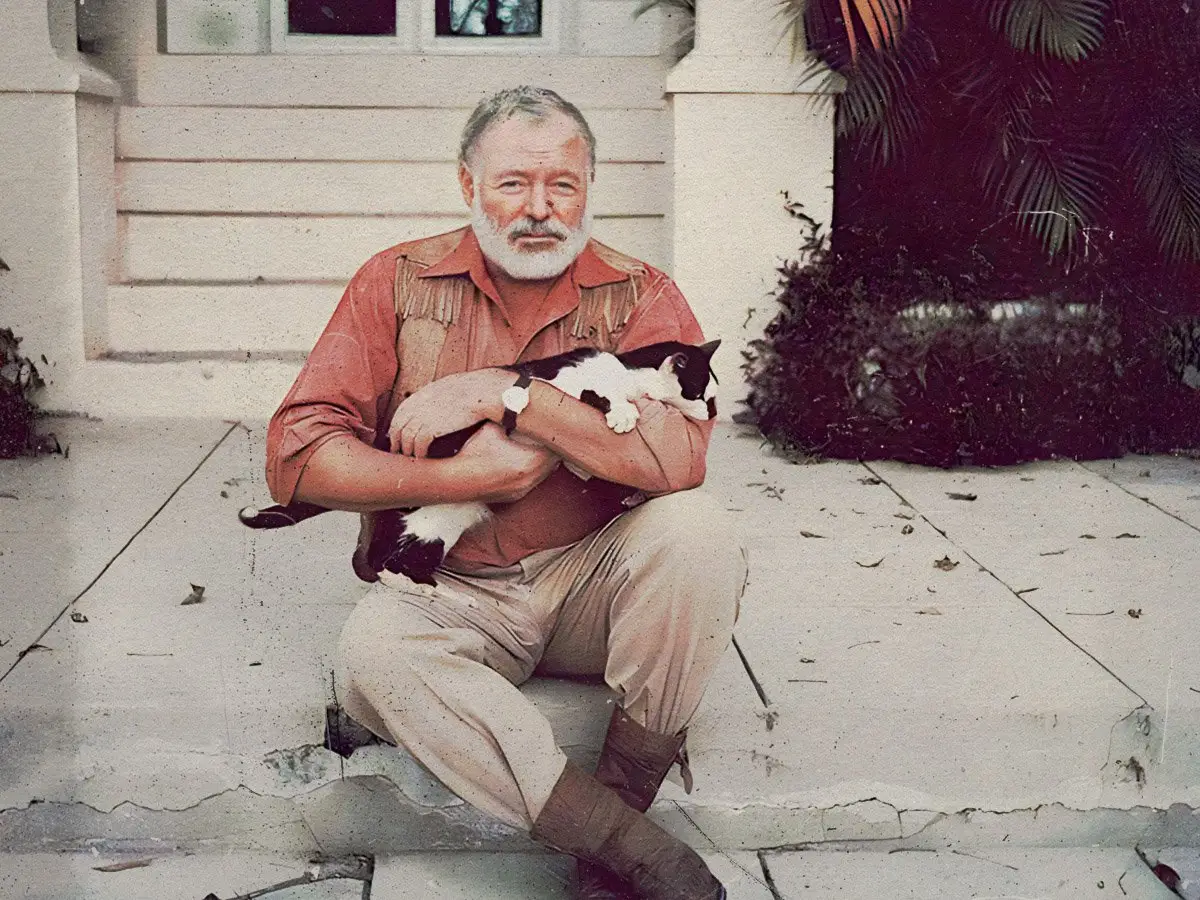 Qual era a comida final de Ernest Hemingway?