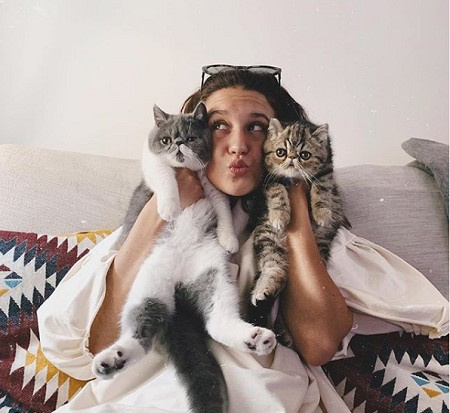 James's girlfriend María enjoying with her cats on her bed
