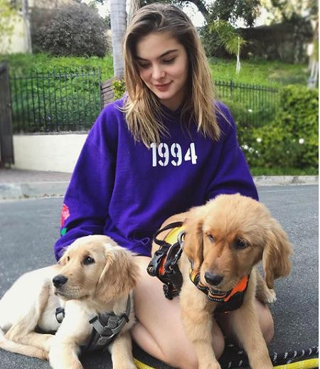   Brighton Sharbino con cachorros en la carretera