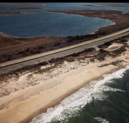 Em 13 de dezembro de 2011, em um pântano no departamento de polícia do condado de Oak Beach Suffolk, encontraria Shannan's body.