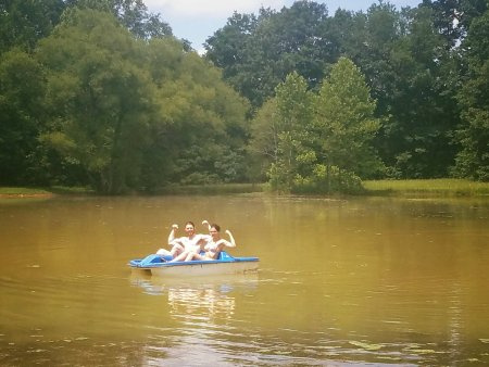   Matthew Rhode Adrianne Curry (1)