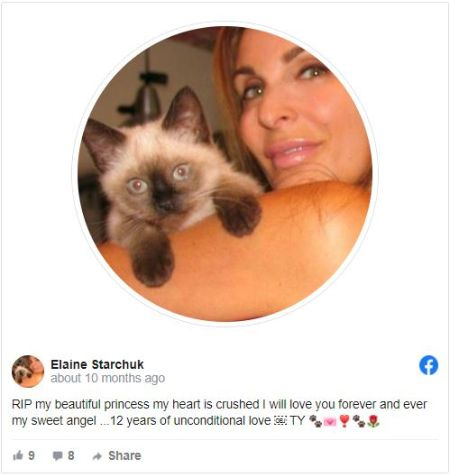 Starchuk ama a los animales