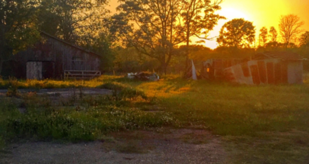 Denise Butte's Grandparents barn