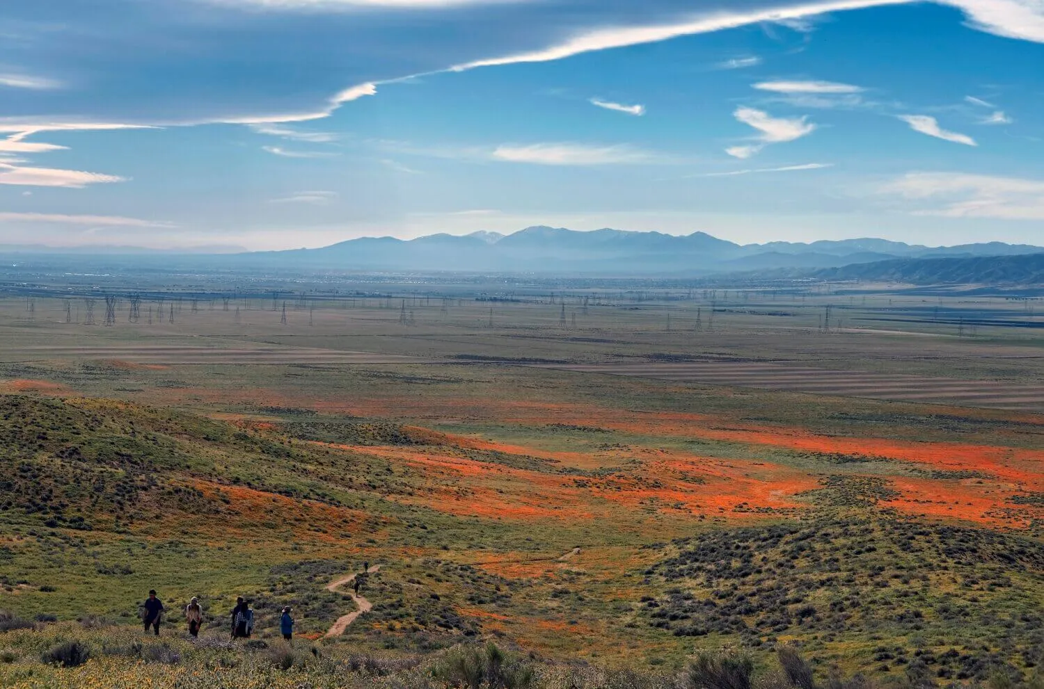 Em Los Angeles, está surgindo um meio de comunicação ‘superbloom’