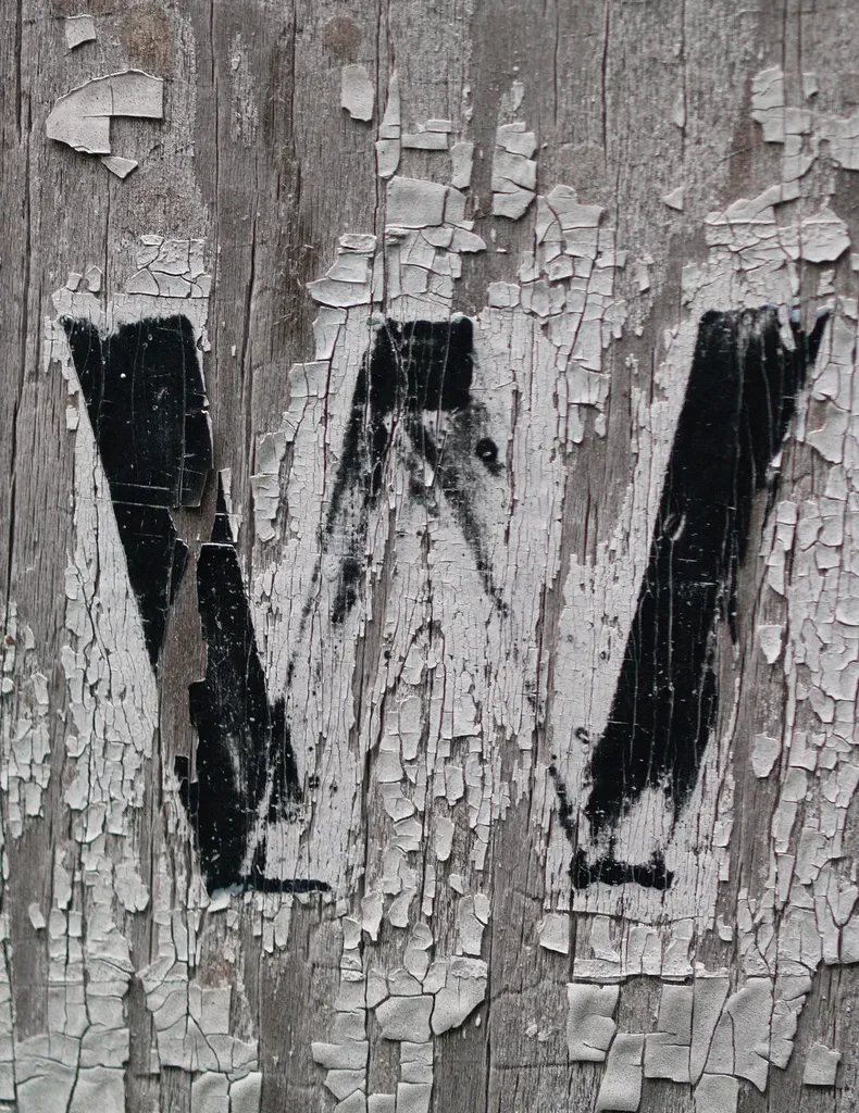 AP Style alert: Don’t capitalize internet and web anymore' decoding='async' fetchpriority='high