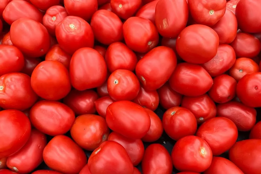 Donald Trump dice que los precios de los alimentos y la energía han bajado. En realidad, es una mezcla de cosas para los consumidores.