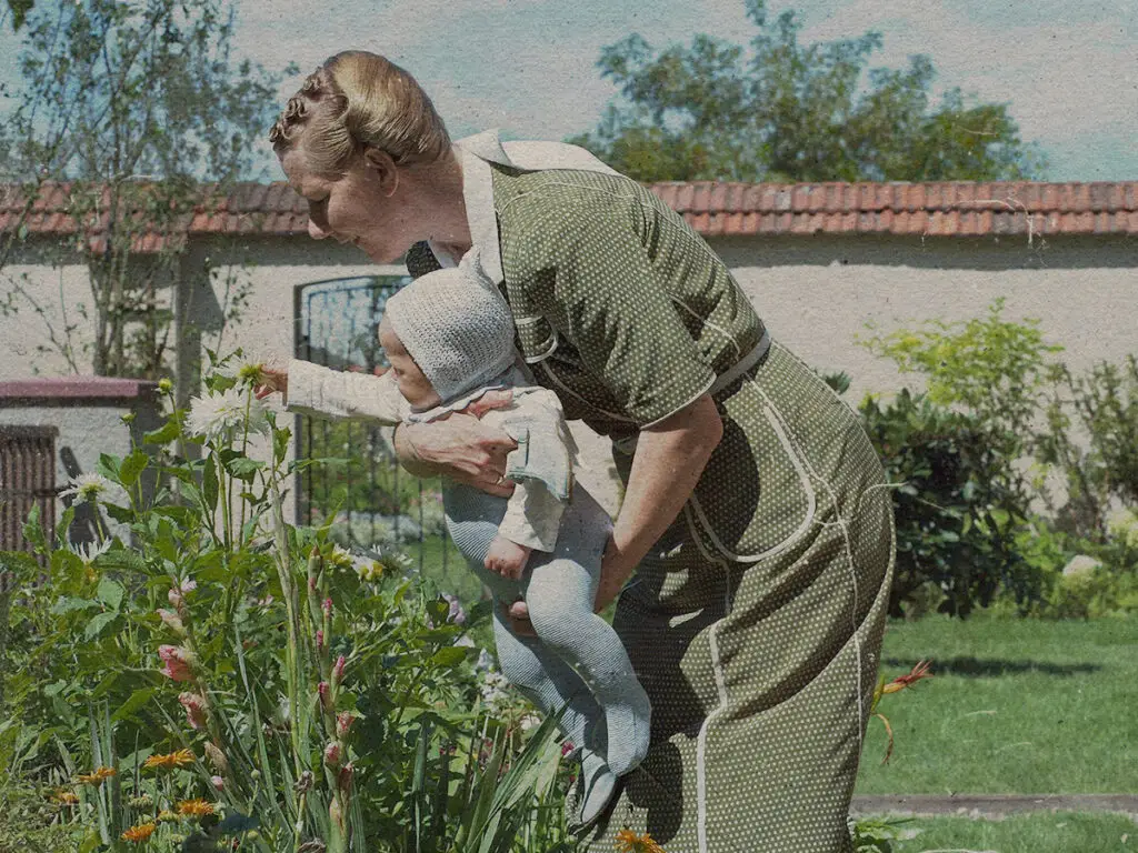 The Zone of Interest - 2023 - A24