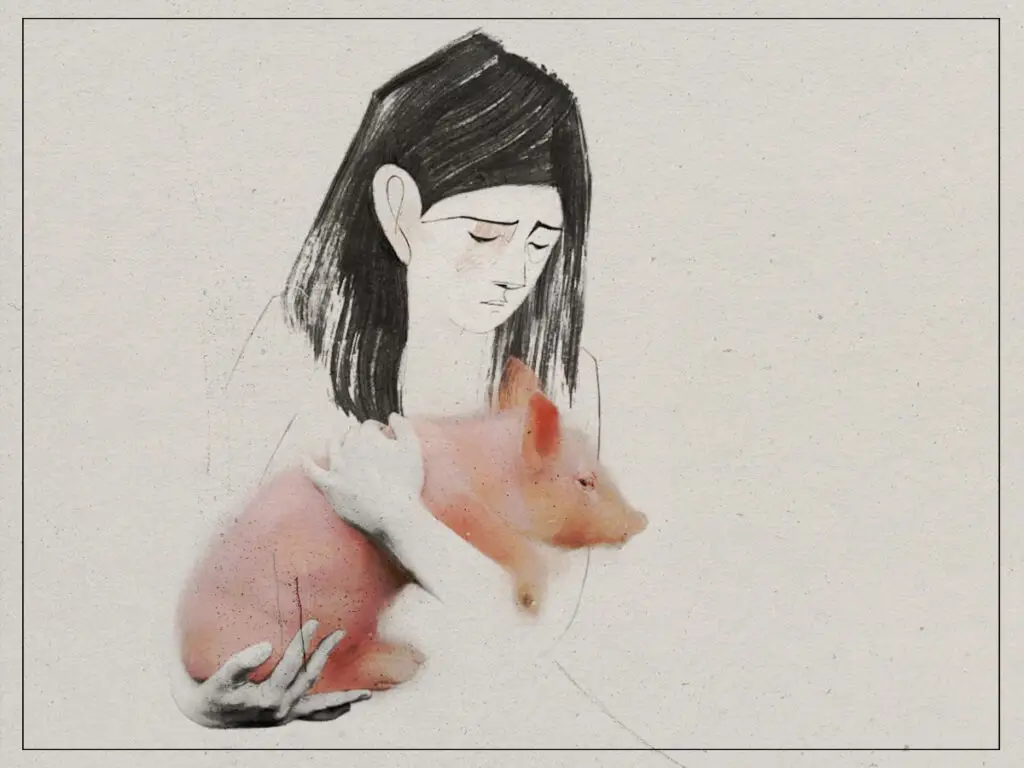 Letter to a Pig - 2023 - Tal Kantor