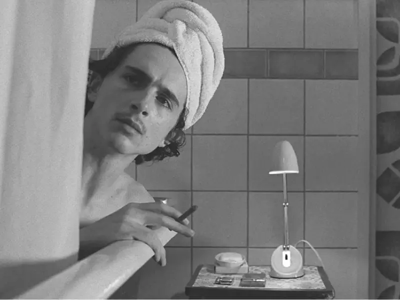 Timothee Chalamet chama seus filmes franceses favoritos