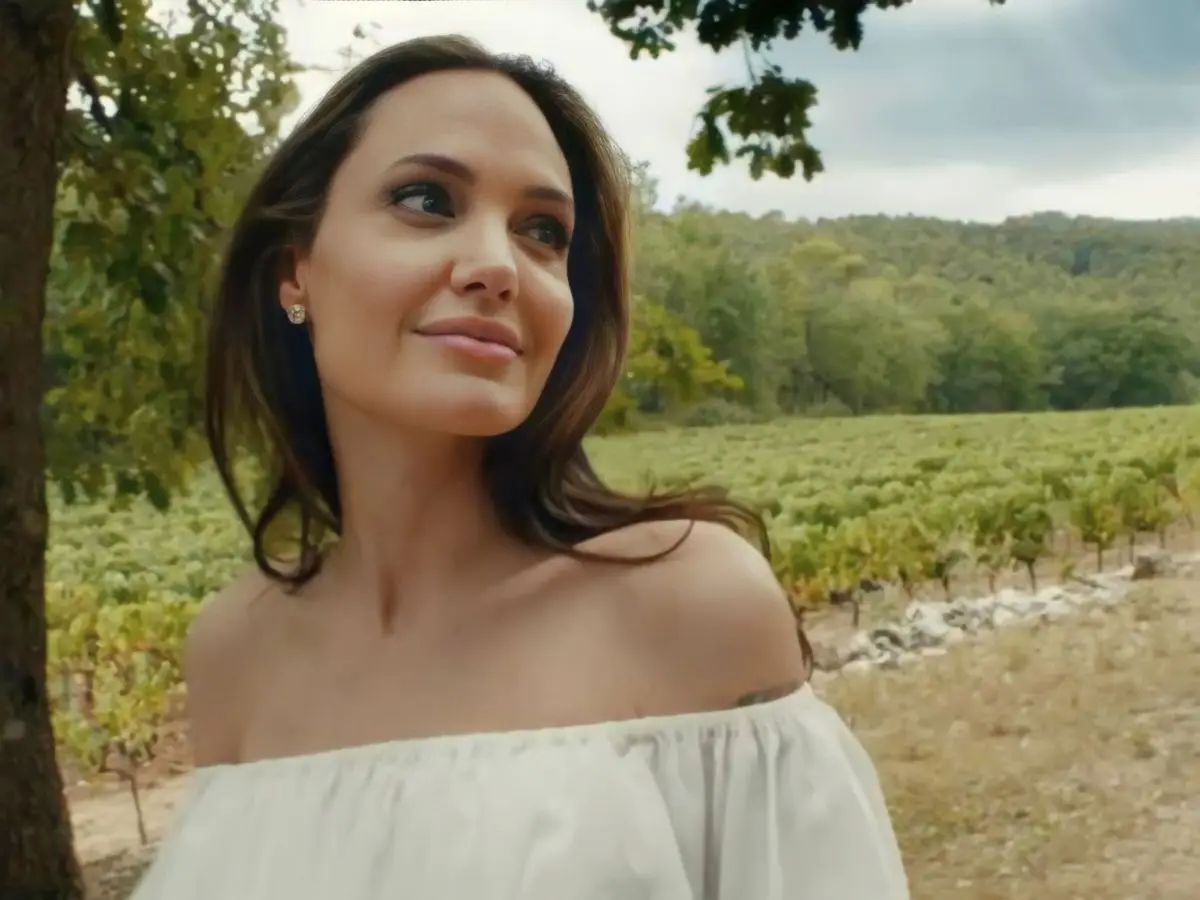 La película Angelina Jolie hizo para demostrar un punto: todo lo que odio