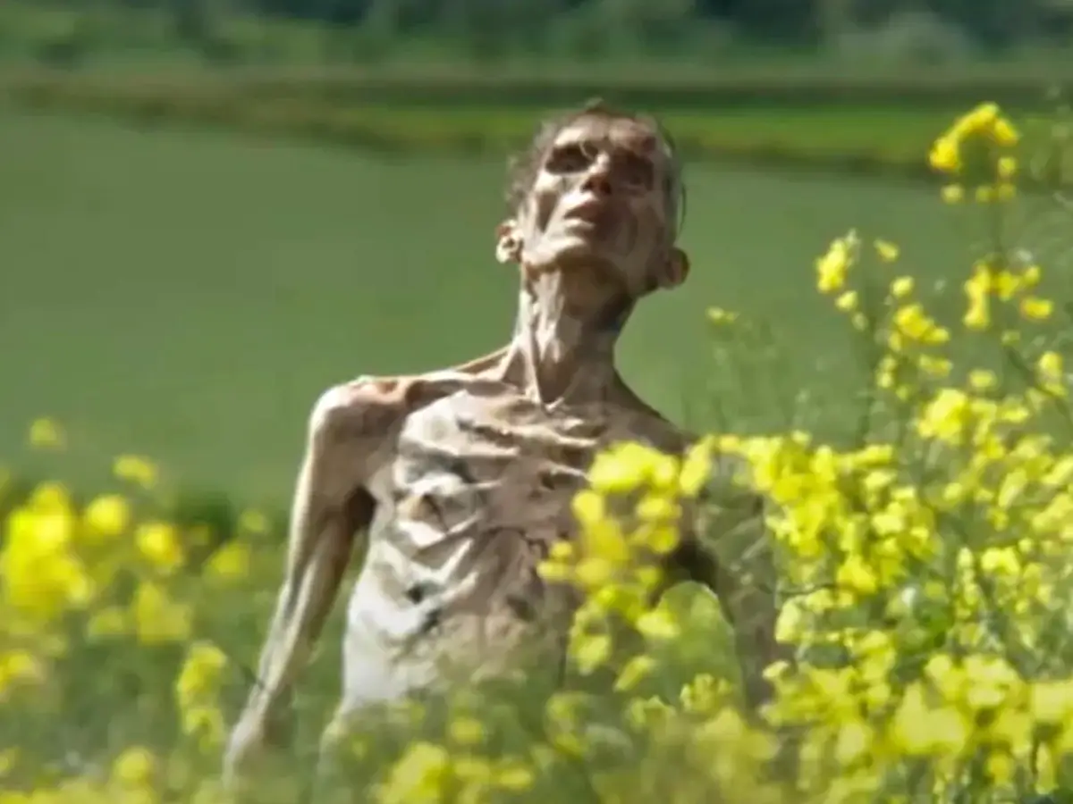 O comerciante de arte revela que ele é zumbis no trailer '28 anos depois ', sem Cillian Murphy
