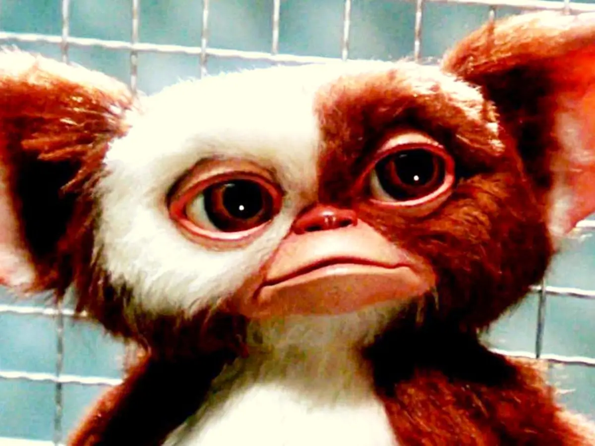 Los sorprendentes orígenes de la Segunda Guerra Mundial que condujeron a Gremlins