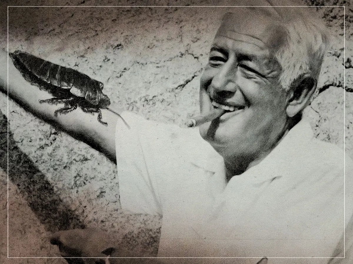 Garantía de devolución de dinero: el amor de William Castle por los trucos de cine