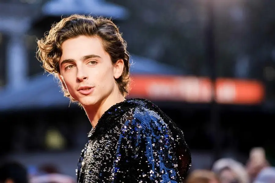 Timothée Chalamet solía vender controladores de Xbox modificados en YouTube