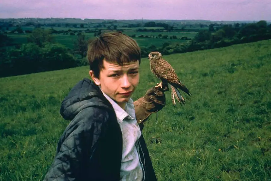Di John Schlesinger em Ken Loach: Os 10 melhores filmes de Yorkshire