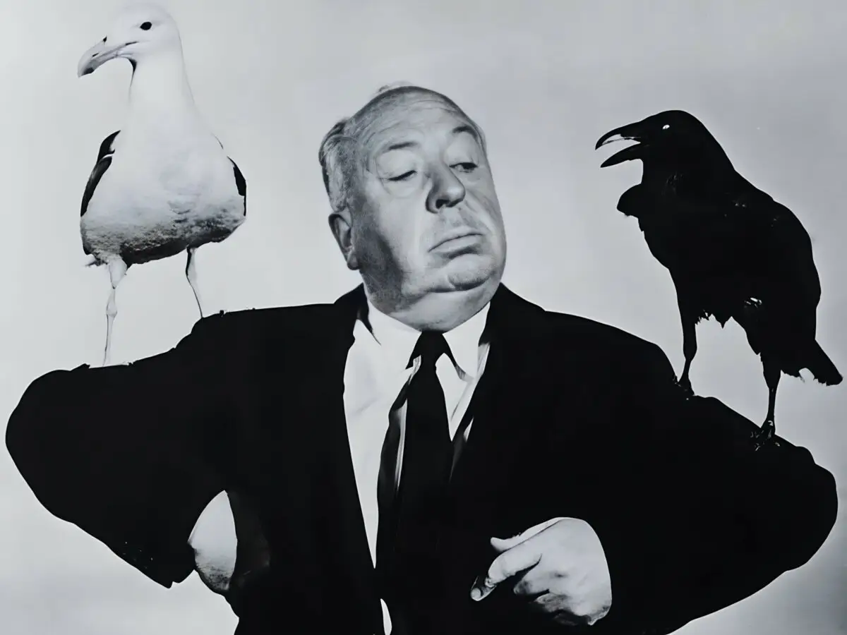 El actor Alfred Hitchcock en comparación con un volcán cubierto de nieve: es sensible, disciplinada y muy sexy