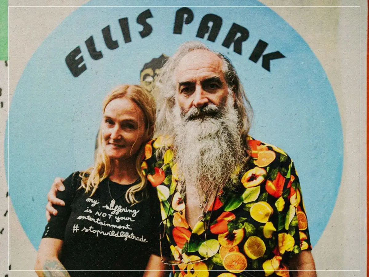 Críticas ao filme Ellis Park: Warren Ellis apresenta uma oferta para o homem musical mais agradável