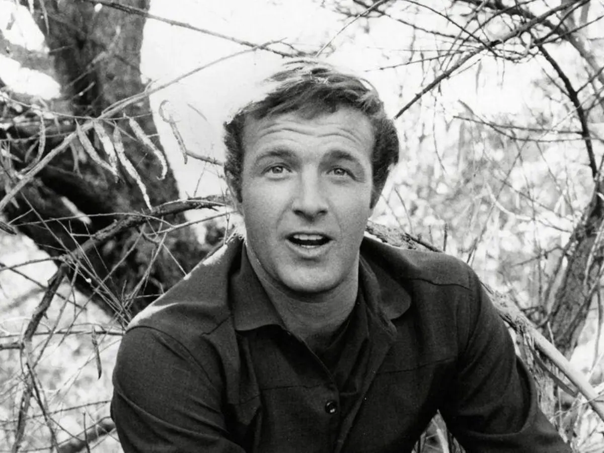 Não sei o que isso significava: o filme clássico James Caan chamado Cerebral Horap