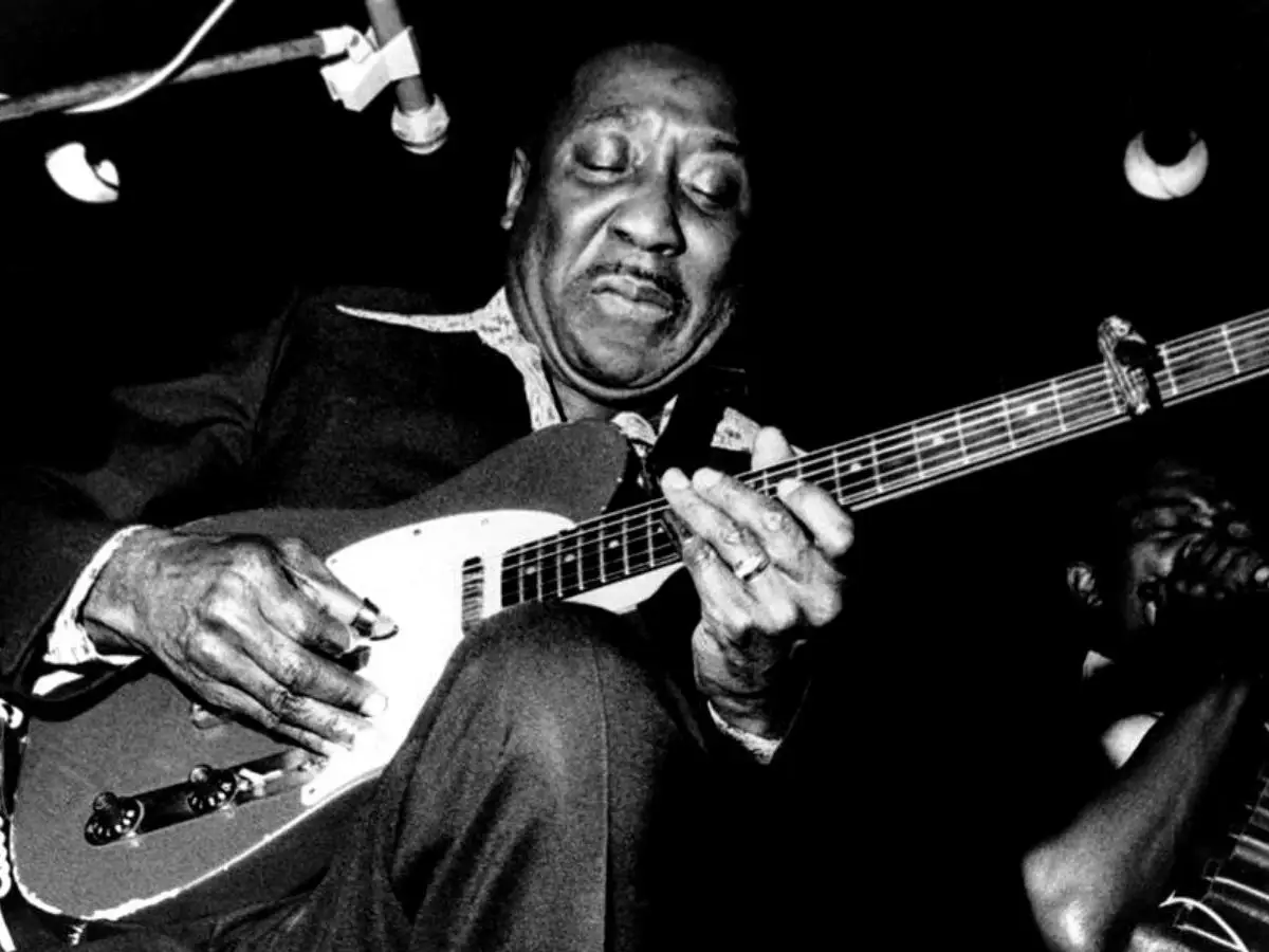 Muddy Waters En Newport 1960: The Ultimate Rock'n'roll Origins Rekord