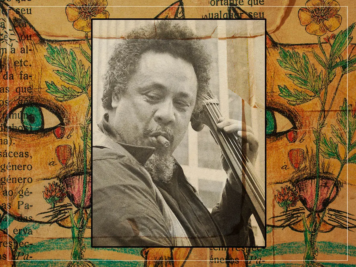 Guía de Charles Mingus para entrenar en el baño a su gato