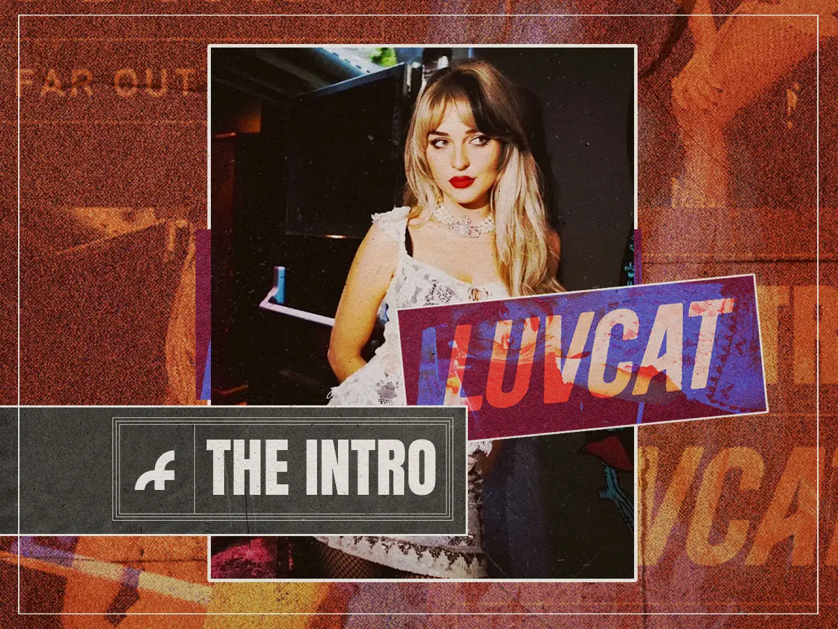 Este não é o Moulin Rouge: presente Luvcat, a nova estrela da cena da cena