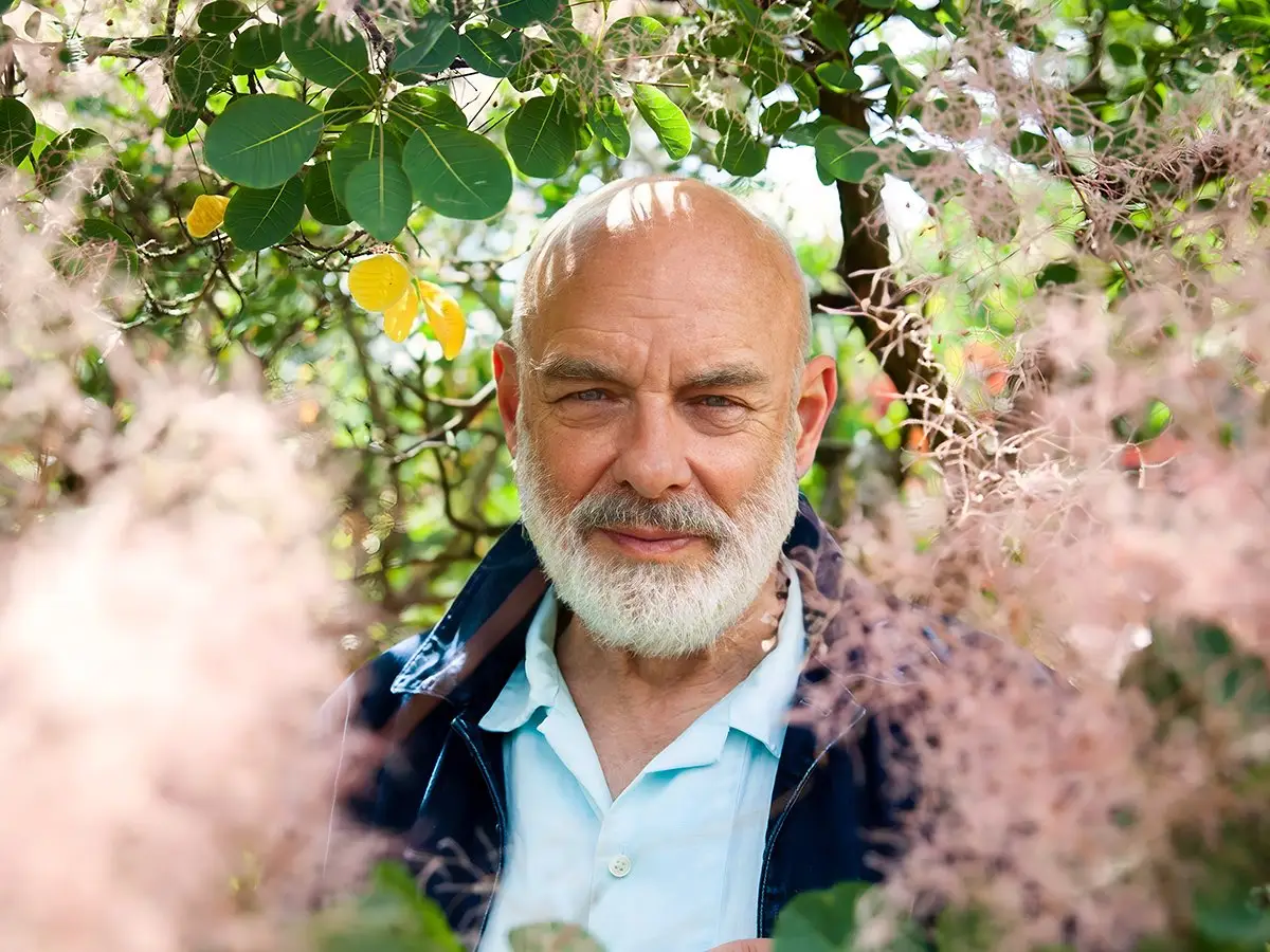 Brian Eno lançou um novo álbum surpresa, Aurum,