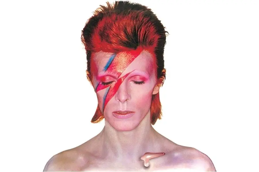 Porque as aranhas de Marte evitaram a sessão de fotos para a capa do álbum Ziggy Stardust de David Bowie