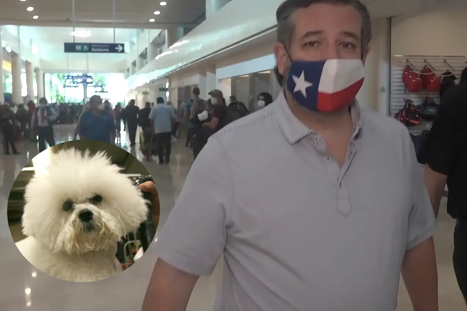 Especially where Ted Cruz is concerned always get the name of the dog' decoding='async' fetchpriority='high