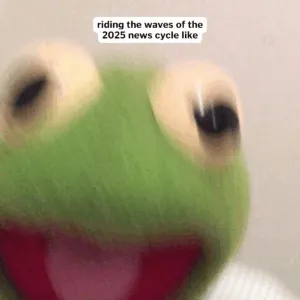 Aqui estão seus memes de jornalismo Poynter favoritos de 2025' title=