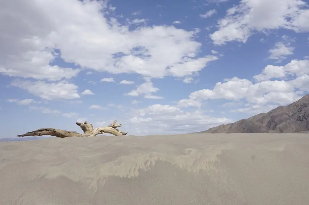Death Valley 