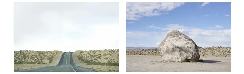 joshua tree 10