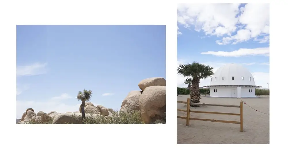 joshua tree7