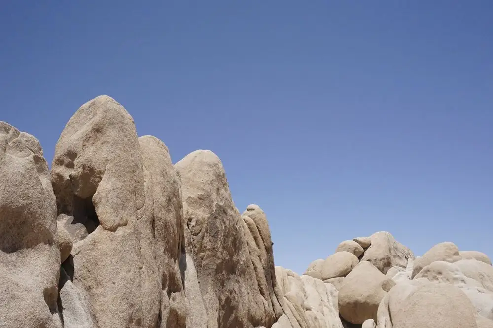 Joshua Tree