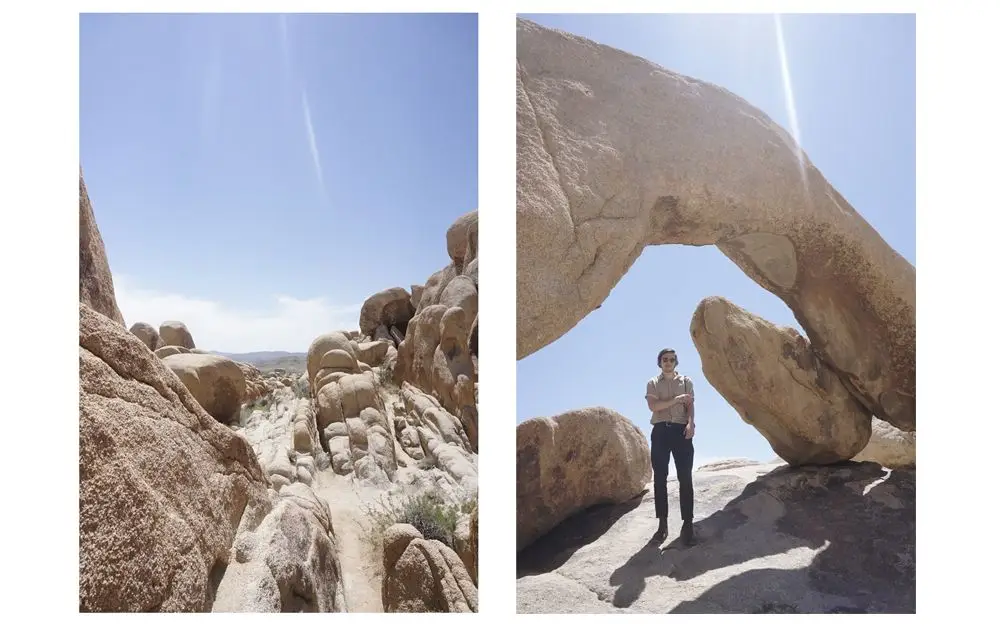 joshua tree5
