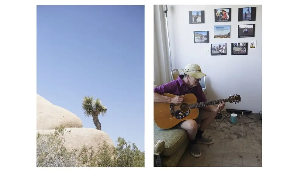 joshua tree8