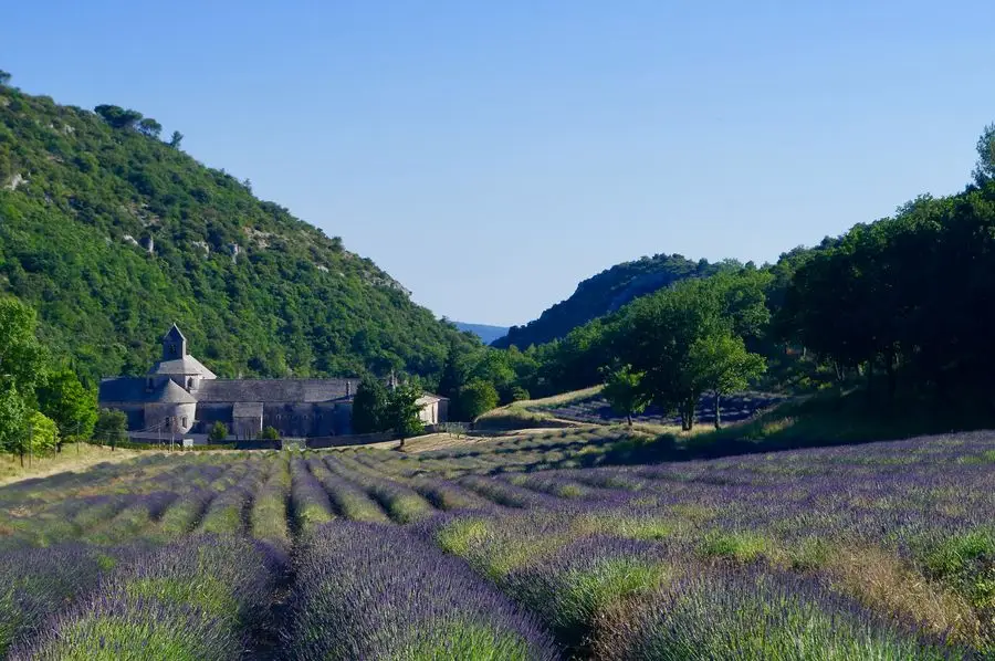 Feriados de arte: ImpressionNist Expcanni Provence