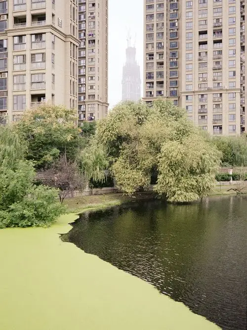 A Walk Through Wuhan - Life after Covid-19