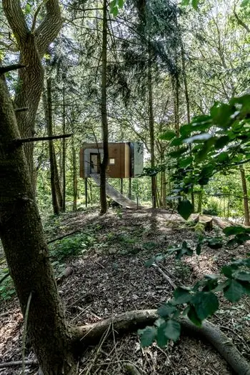Spectacular Lovtag Treehouse Hotel abierto para negocios en el bosque danés