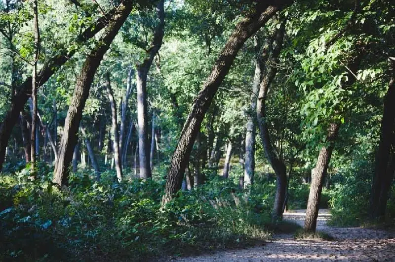 América tiene un nuevo parque nacional en el estado de Indiana